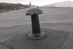DSCF4955